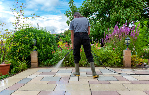 Best Sidewalk and Walkway Pressure Cleaning in Holden, MO